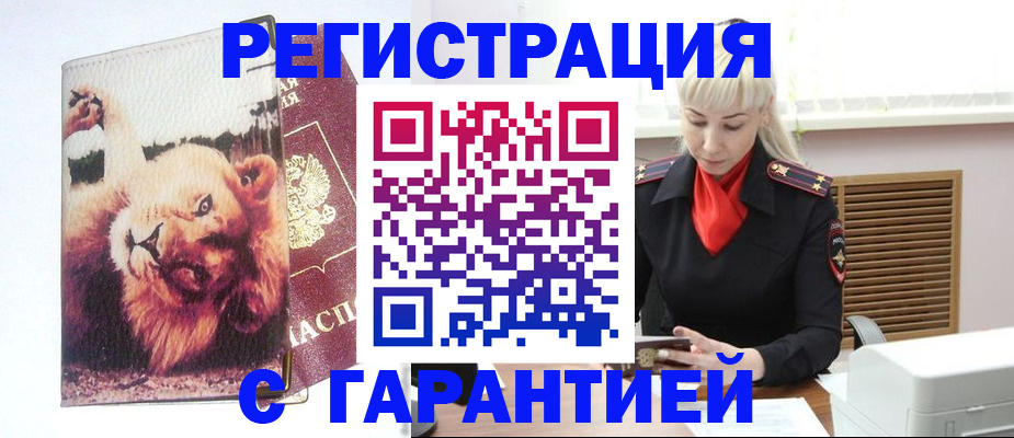 прописка от собственника в Щиграх